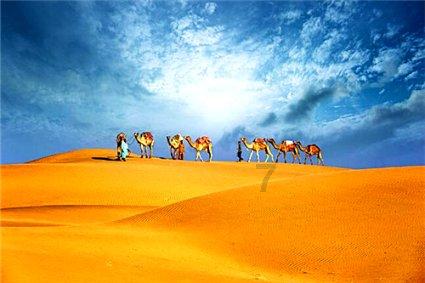 没有回应的感情还有继续下去的必要吗？游戏画面