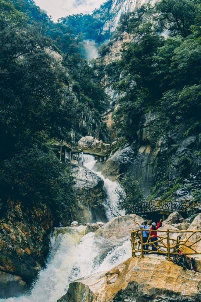 救援可爱小松鼠